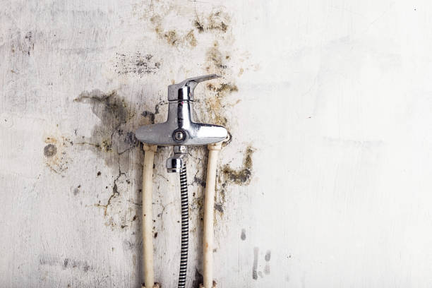 Mold Removal and Inspection in Oak Creek, WI
