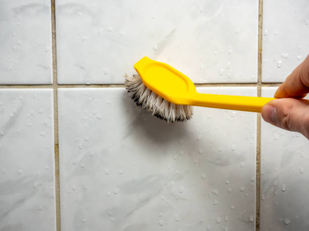 Best Attic Mold Removal  in Oak Creek, WI