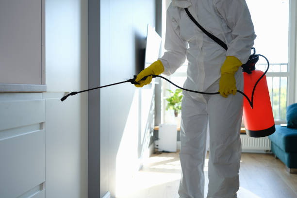 Best Residential Mold Removal  in Oak Creek, WI