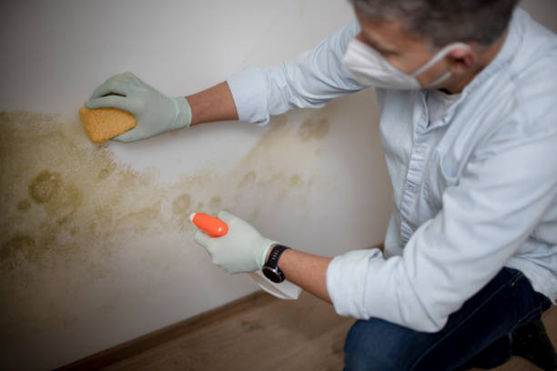 Best Mold Cleaning Services  in Oak Creek, WI