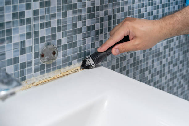 Best Toxic Mold Removal  in Oak Creek, WI