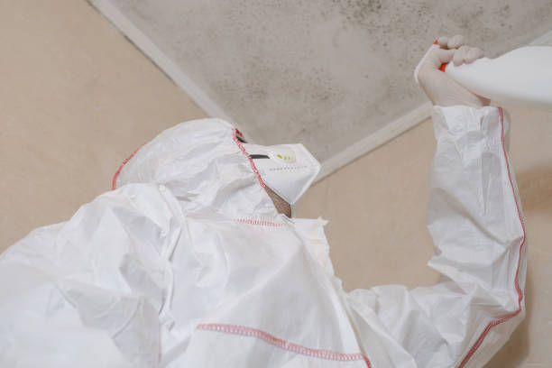 Attic Mold Removal in Oak Creek, WI