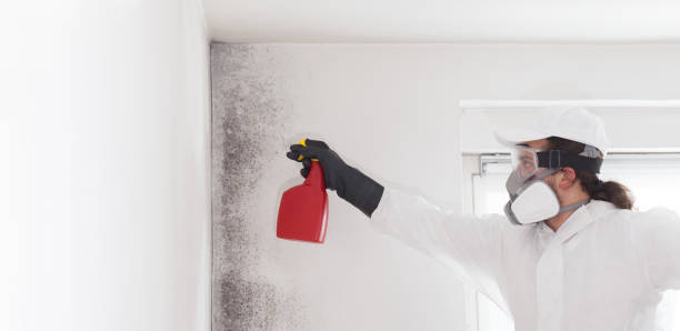 Best Crawl Space Mold Removal  in Oak Creek, WI